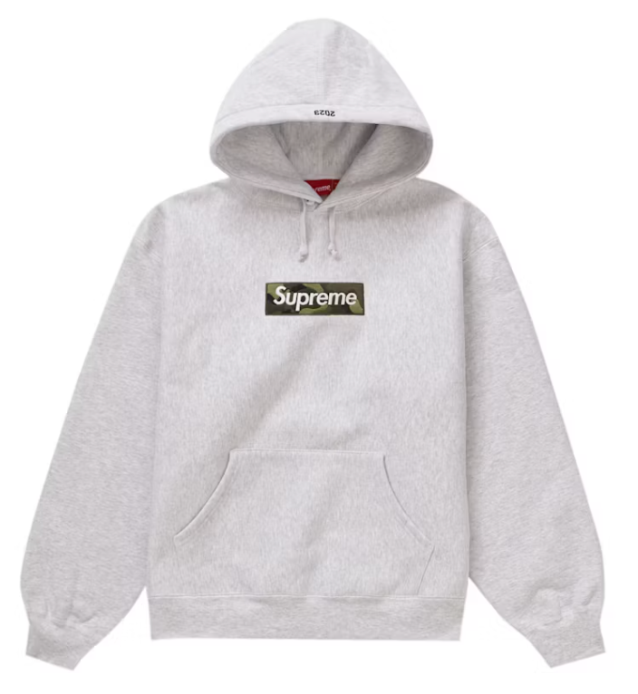 Box Logo Hooded Sweatshirt (FW23) Ash Grey